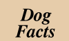 Dog Facts